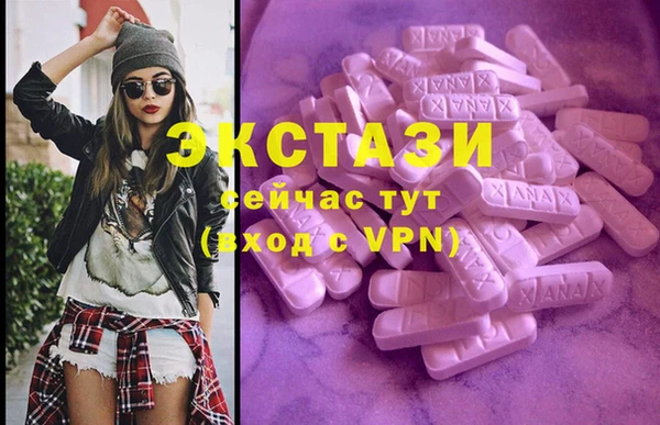 spice Гусев