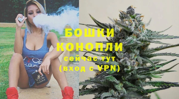 spice Гусев