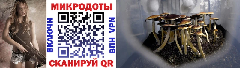 Купить где  Учалы  Галлюциногенные грибы прущие грибы 